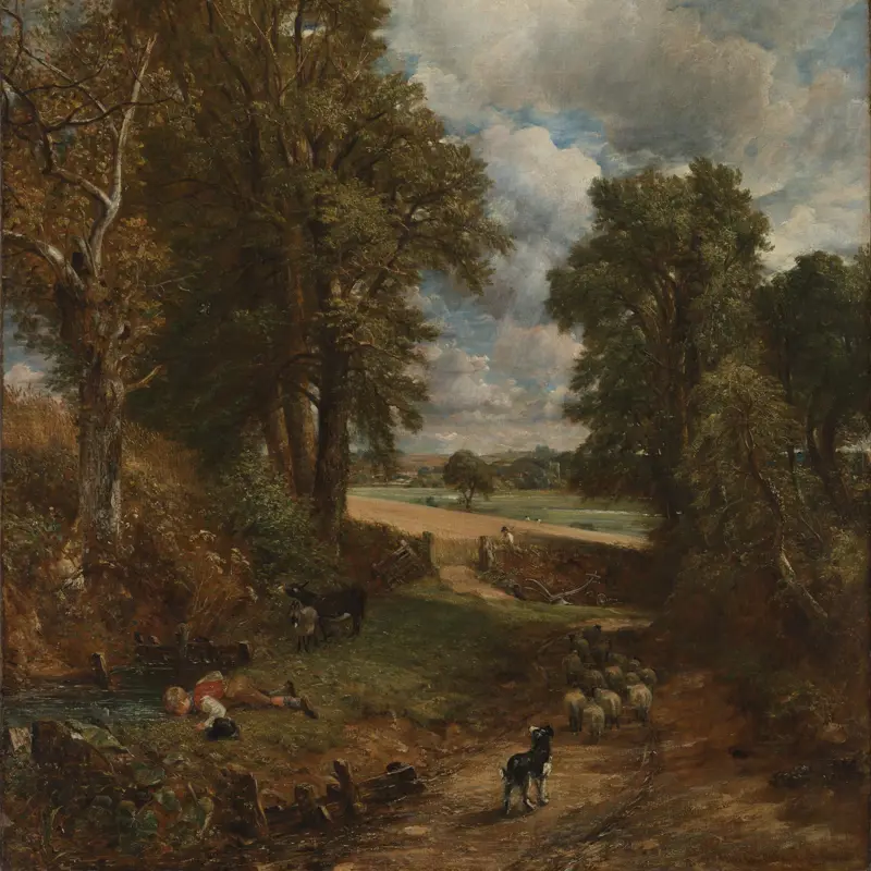 The Cornfield