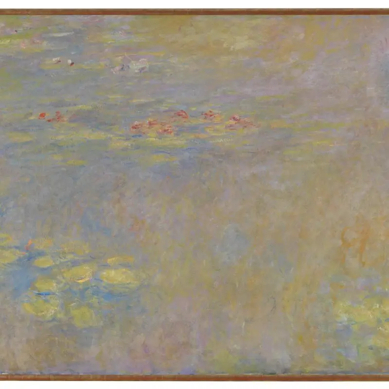 Water-Lilies
